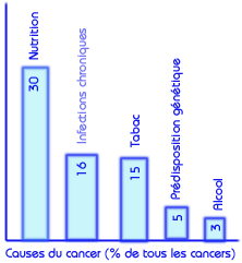 schéma causes du cancer